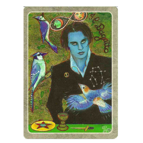 The Secret Language Of Birds Tarot Cards Schiffer Publishing Adele Nozedar