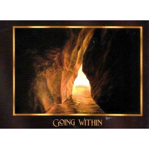 Resonance Oracle Cards Deck Orignal Schiffer Publishing Dara Camplan