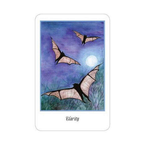 Higher Intuitions Oracle Cards Deck Schiffer Publishing Robinett Bowman