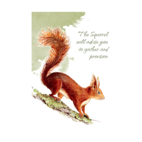 Power Animals Cards Deck Spirit Guides For Your Spiritual Life Esoteric