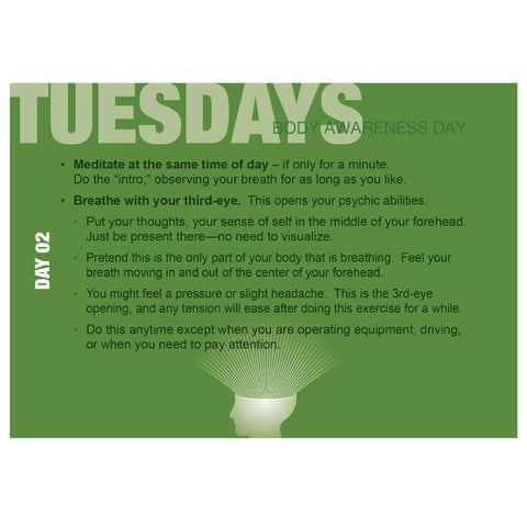 Build Your Psychic Skills: The 90-Day Plan Cards Deck Schiffer Publishing