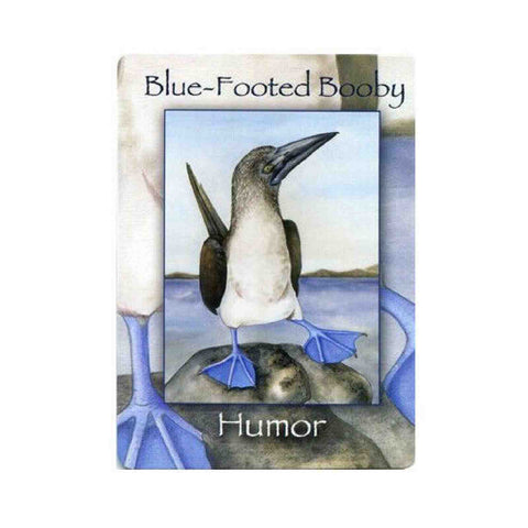 Nature'S Wisdom Oracle Deck Mindy Lighthipe Schiffer Publishing