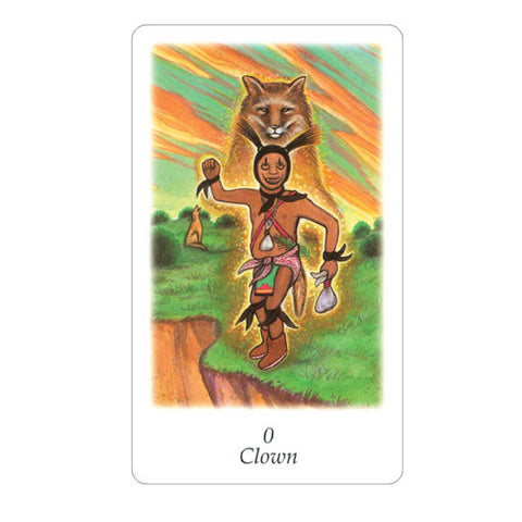 Vision Quest Tarot Cards Deck By Gayan Sylvie Winter Esoteric Agm