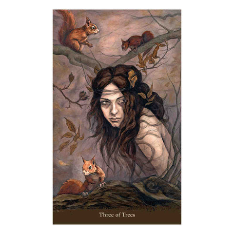 Witch Sister Tarot Cards Deck Julia Jeffrey Witchcraft Esoteric Llewellyn