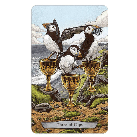 Animal Totem Tarot Cards Deck Llewellyn Leeza Robertson Esoteric With Bag