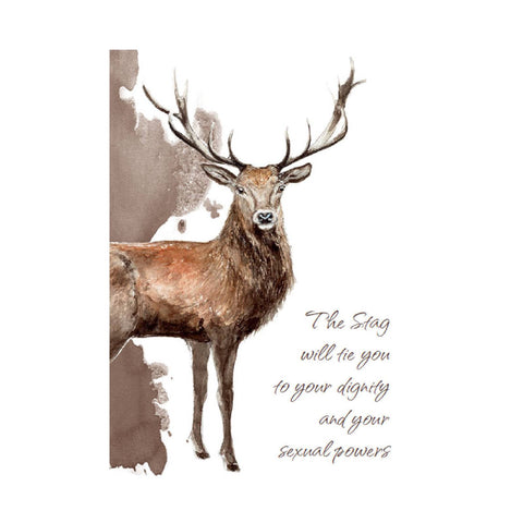 Power Animals Cards Deck Spirit Guides For Your Spiritual Life Esoteric