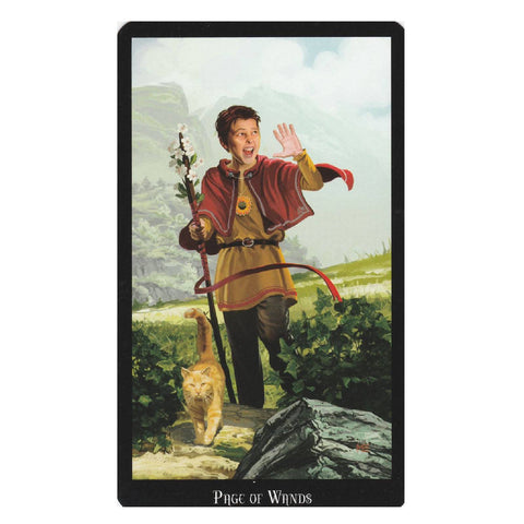 Witches Tarot Cards Deck Esoteric Telling Ellen Dugan Llewellyn