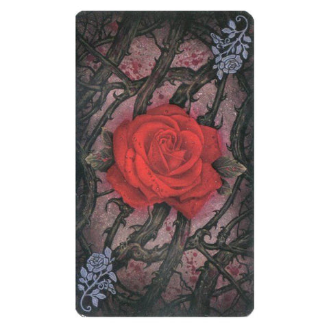 The Tarot Of Vampyres Tarot Cards Deck Esoteric Ian Daniels Llewellyn With Bag