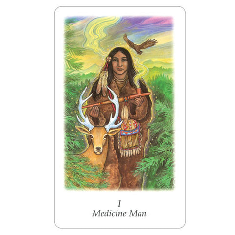 Vision Quest Tarot Cards Deck By Gayan Sylvie Winter Esoteric Agm