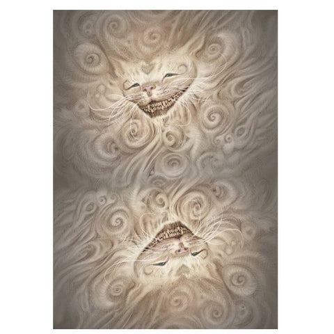 Alice In Wonderland Oracle Cards Deck Paolo Barbieri Divination