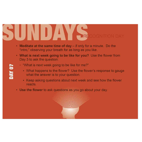 Build Your Psychic Skills: The 90-Day Plan Cards Deck Schiffer Publishing