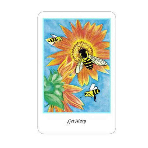 Higher Intuitions Oracle Cards Deck Schiffer Publishing Robinett Bowman