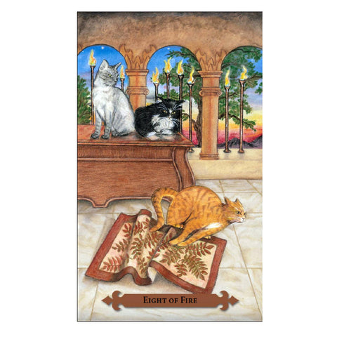 Mystical Cats Tarot Deck Lunaea Weatherstone Mickie Mueller Llewellyn