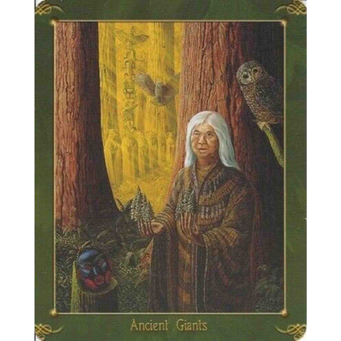 Green World Oracle Deck Cards Esoteric Kathleen Jenks Schiffer Publishing