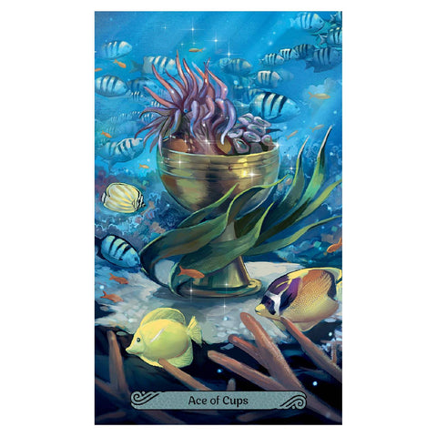 Mermaid Tarot Cards Deck Leeza Robertson Julie Dillon Esoteric Llewellyn With Bag