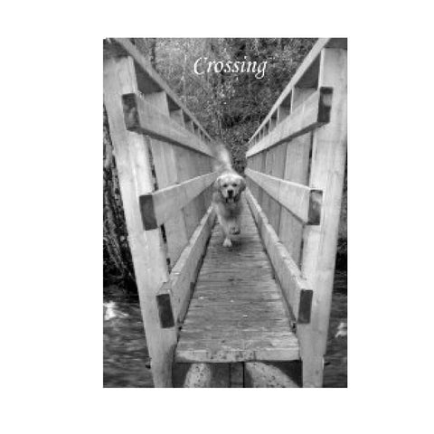 Simple Wisdom Of The Household Dog Oracle Cards & Book Schiffer Publishing