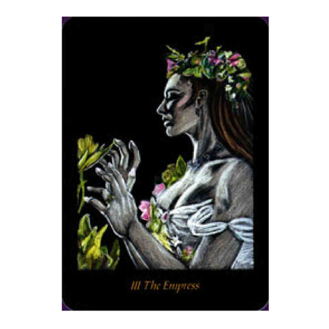 The Twilight Realm: A Tarot Of Faery Cards Deck And Book Schiffer Publishing