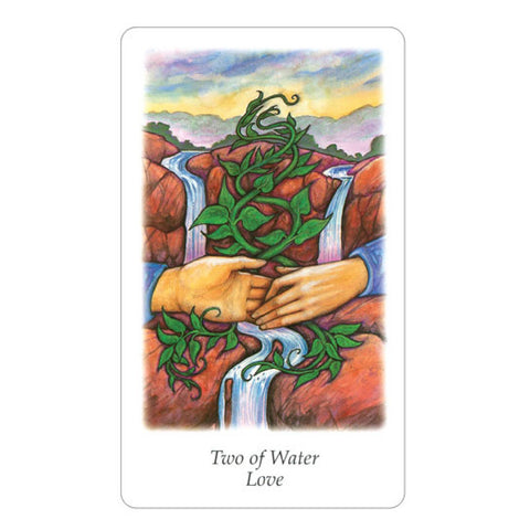 Vision Quest Tarot Cards Deck By Gayan Sylvie Winter Esoteric Agm