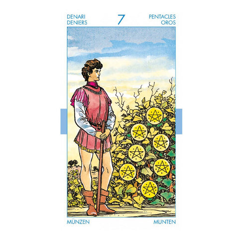 Tarot Kit For Beginners Tarot Cards Deck Esoteric Telling Llewellyn