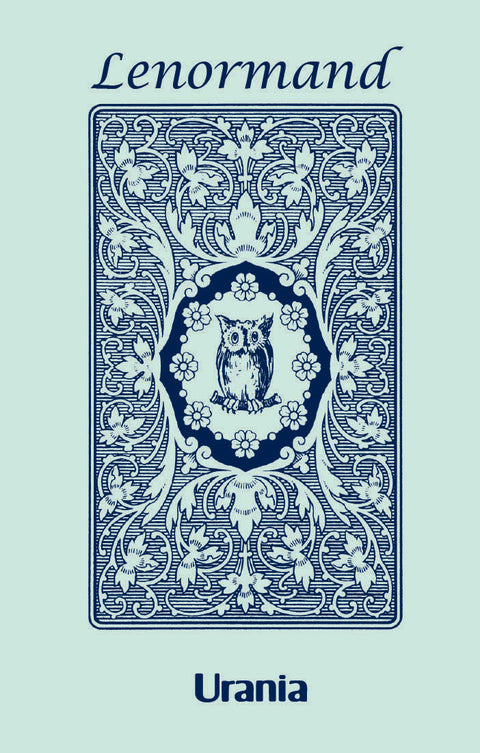 Blue Owl By Mlle Lenormand 36 Cards Deck Esoteric Fortune Telling Agm 1067012979