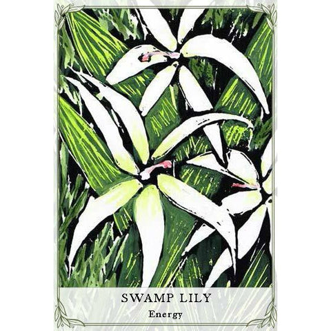 Australian Wildflower Oracle Cards Deck & Guidebook Cheralyn Darcey