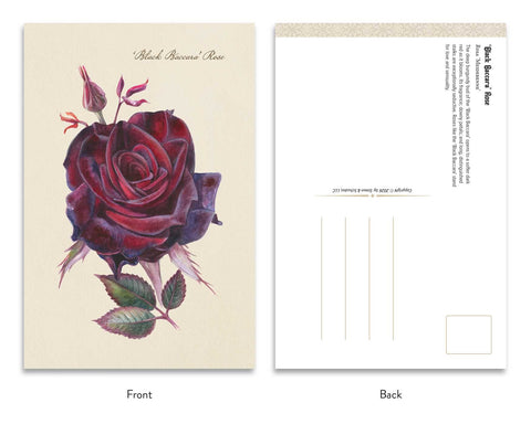 the Goth Garden Dark Blooms Postcards set Adams Media