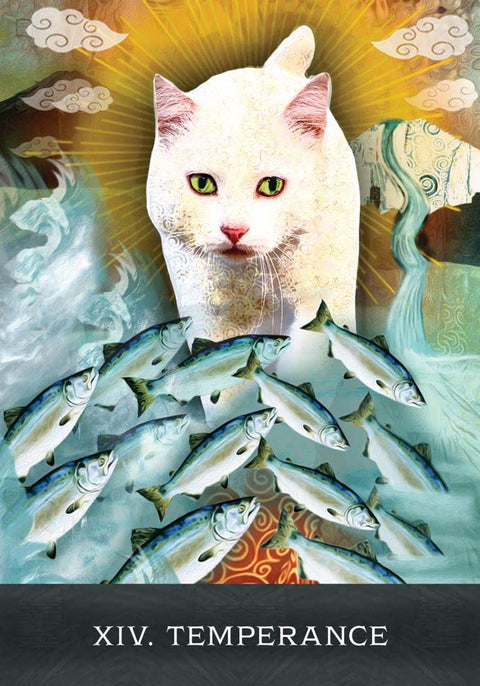 Grimalkin'S Curious Cats Tarot Cards Deck & Guidebook