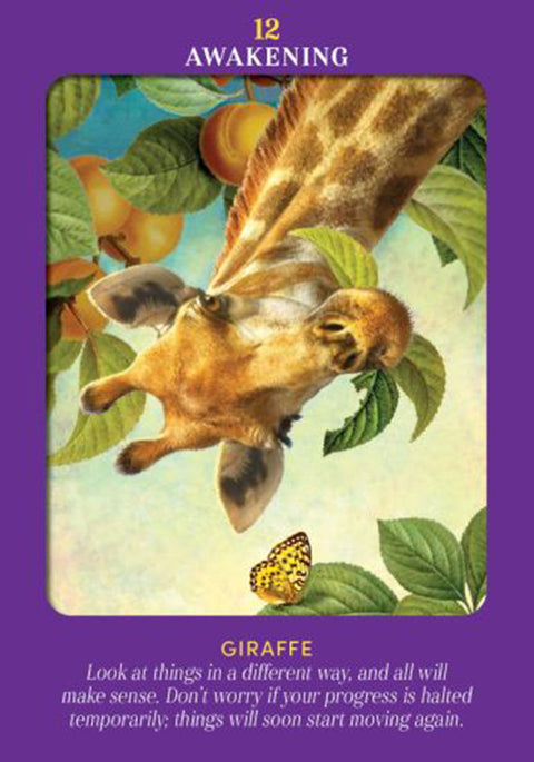 Animal Guides Tarot Cards Deck Radleigh Valentine Divination