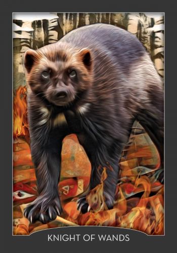 Guardian of the Night Tarot Deck & Signed Guidebook – Animal Spirit Cards