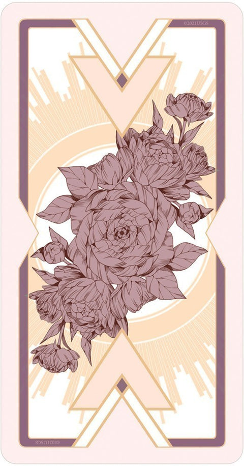 Heavenly Bloom Tarot Deck Noa Ikeda US Games Rose Gold with Guidebook