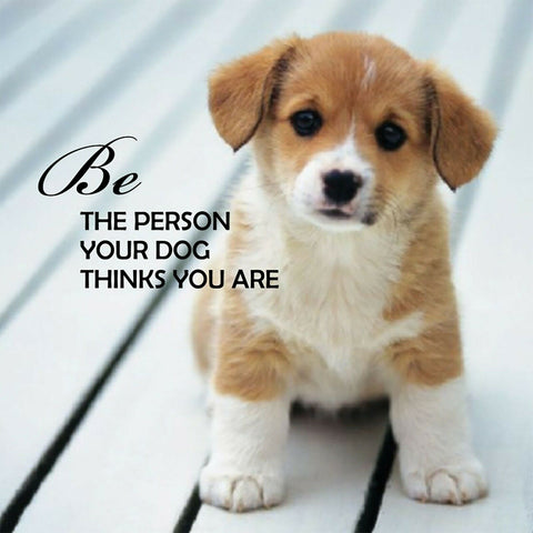 Pup Notes Dog Inspiration Cards Deck by U.S. Games Systems, 60 Cards
