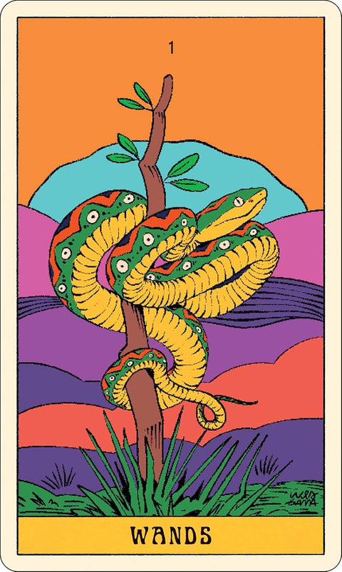 Mystical Forest Tarot Card Deck & Guidebook by Wes Gama Andrews McMeel