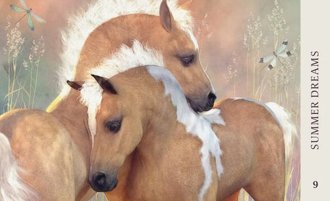 Horse Wisdom Oracle Cards 44-Card Deck & Guidebook by Kathy Pike Blue Angel