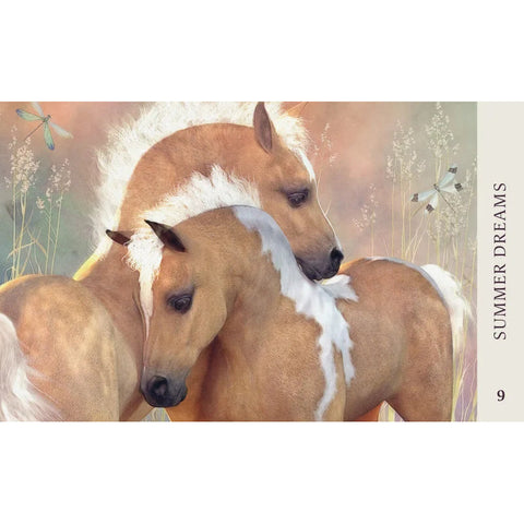 Horse Wisdom Oracle Cards 44-Card Deck & Guidebook by Kathy Pike Blue Angel