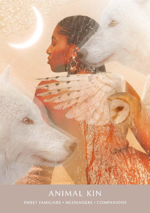 The Dreamgate Oracle Deck & Guidebook by Danielle Noel RP Studio