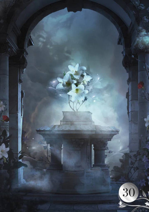 De La Nuit Lenormand Oracle Cards Deck And Book Sibyls Fantasy