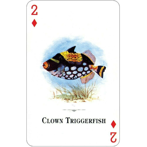 Aquarium Fish of the Natural World Playing Cards Deck by US Games