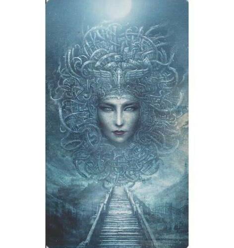 Chronicles Of Destiny Fortune Cards Deck Book Schiffer Publishing Ellershaw NEW