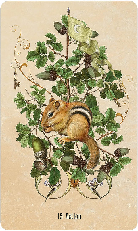 Unlocking The Secret Garden Oracle Crads Deck & Guidebook