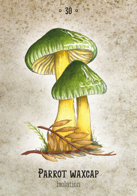 Mushroom Spirit Oracle Cards – Nature Magic & Fungi Wisdom Divination Deck