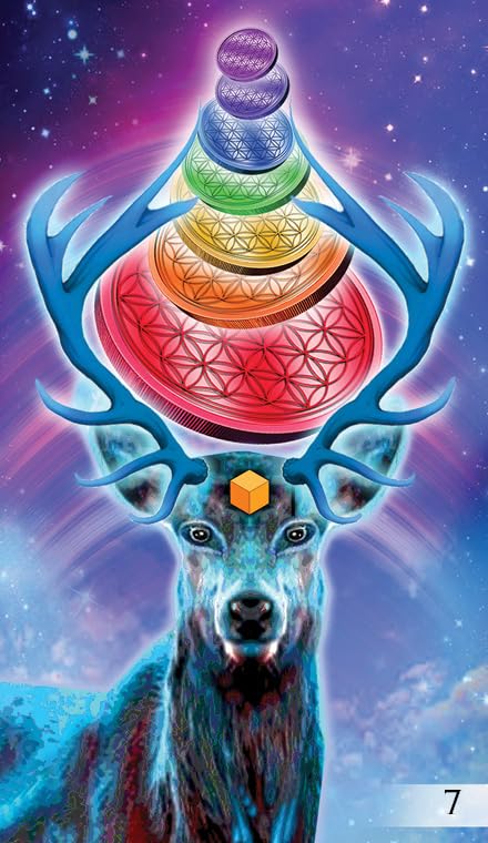 Unifying Consciousness Tarot Deck 79 Cards & Guidebook by Schiffer