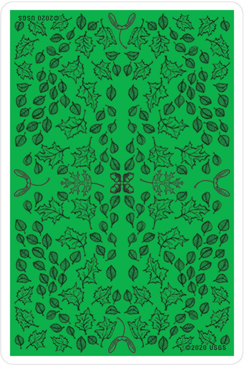 Oracle Of The Trees Cards Deck US Games Systems Esoteric Francesca Valente Oot32