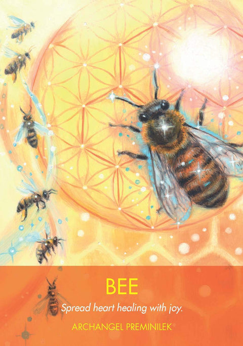Hay House Archangel Animal Oracle - Angel & Animal Guidance Cards Set