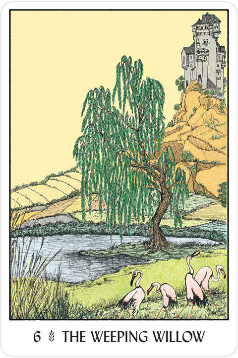 Oracle Of The Trees Cards Deck US Games Systems Esoteric Francesca Valente Oot32