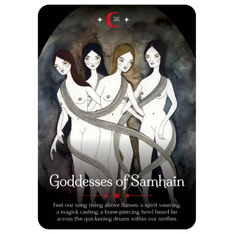 Seasons of the Witch Samhain Oracle Deluxe Edition Rockpool