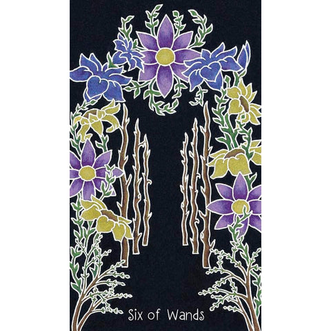 Animystic Tarot Deck 78 Cards & Guidebook Nature Magic by Red Feather