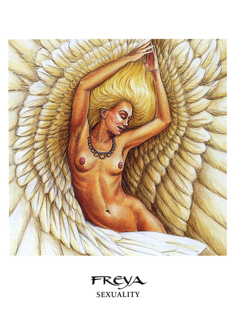 The Goddess Oracle Cards Deck & Guidebook Set by US Games Systems