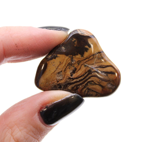 12 Medium African Tumble Stones Picture Nguni Gemstones Ancient Wisdom NEW