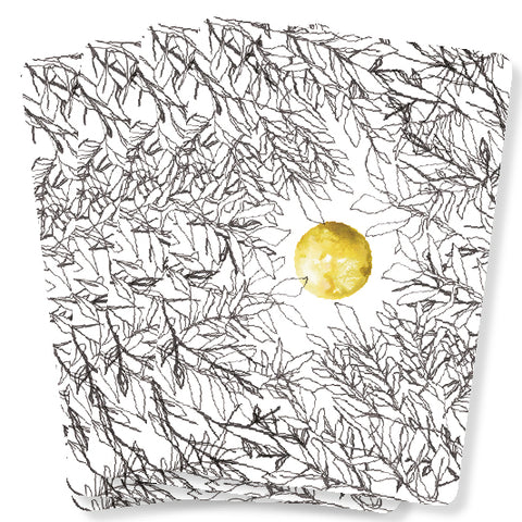 The Universe Has Your Back Inspirational Cards Deck Oracle