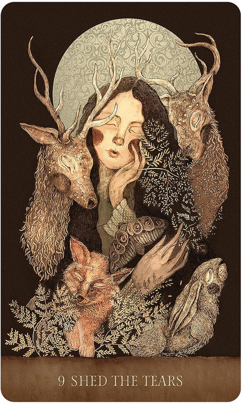 Dream Song Oracle US Games Systems